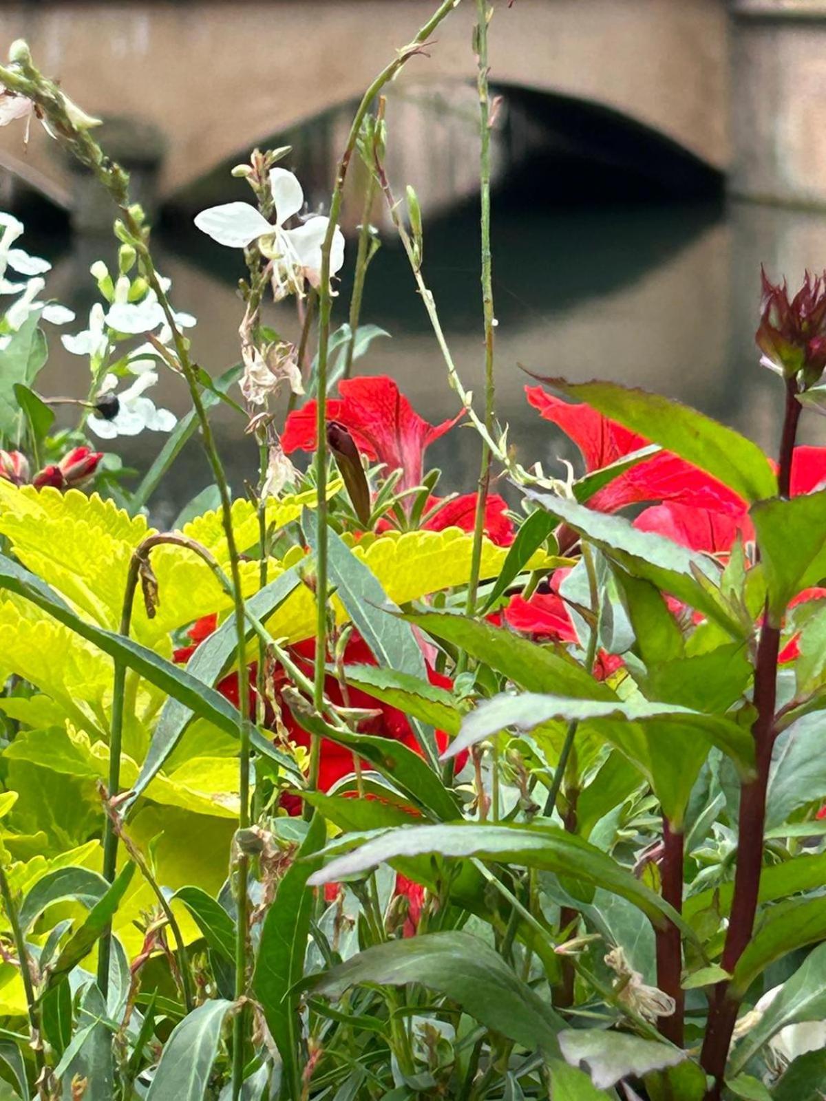 Les Hortensias Fortschwihr Dış mekan fotoğraf