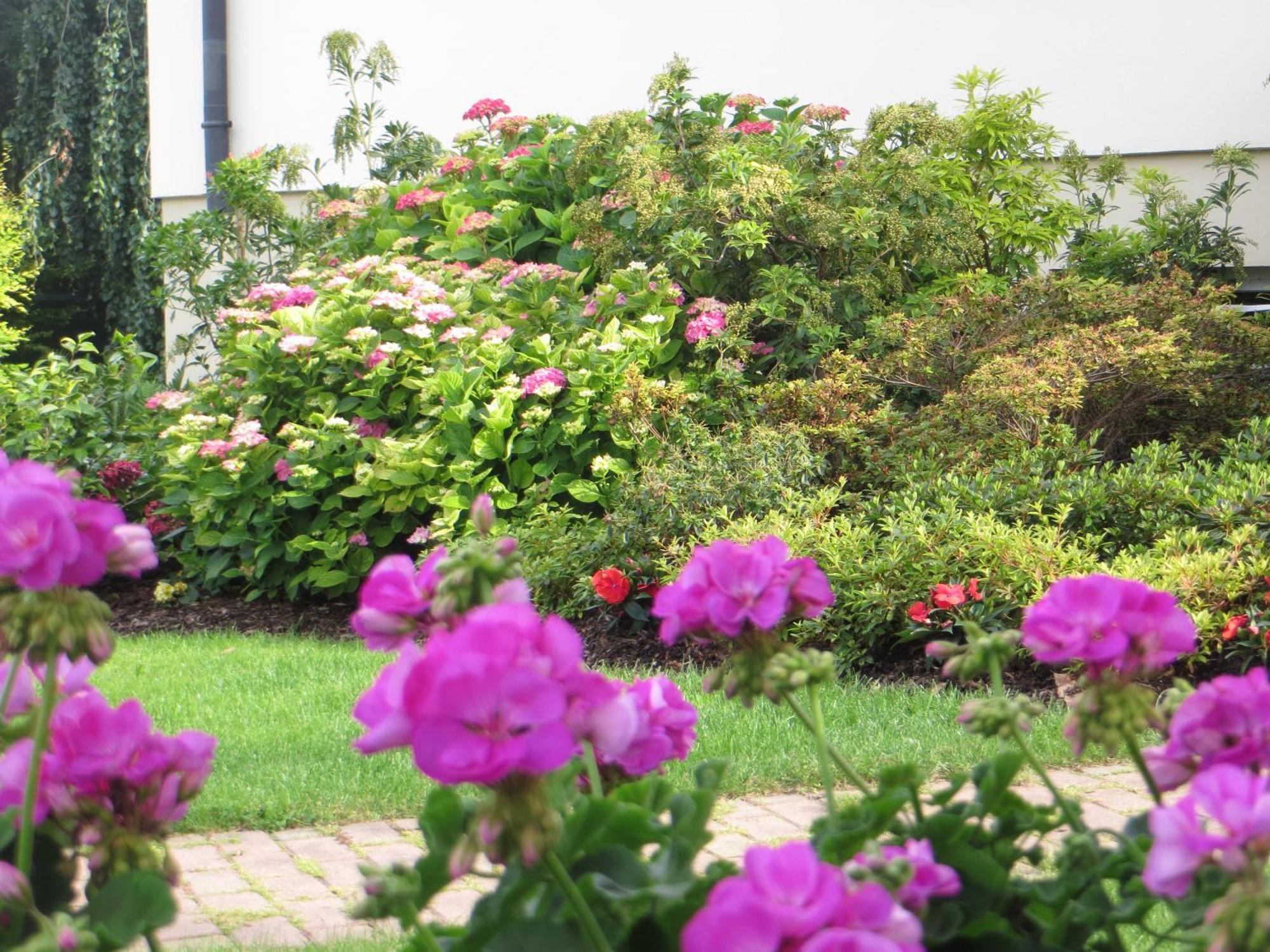 Les Hortensias Fortschwihr Dış mekan fotoğraf