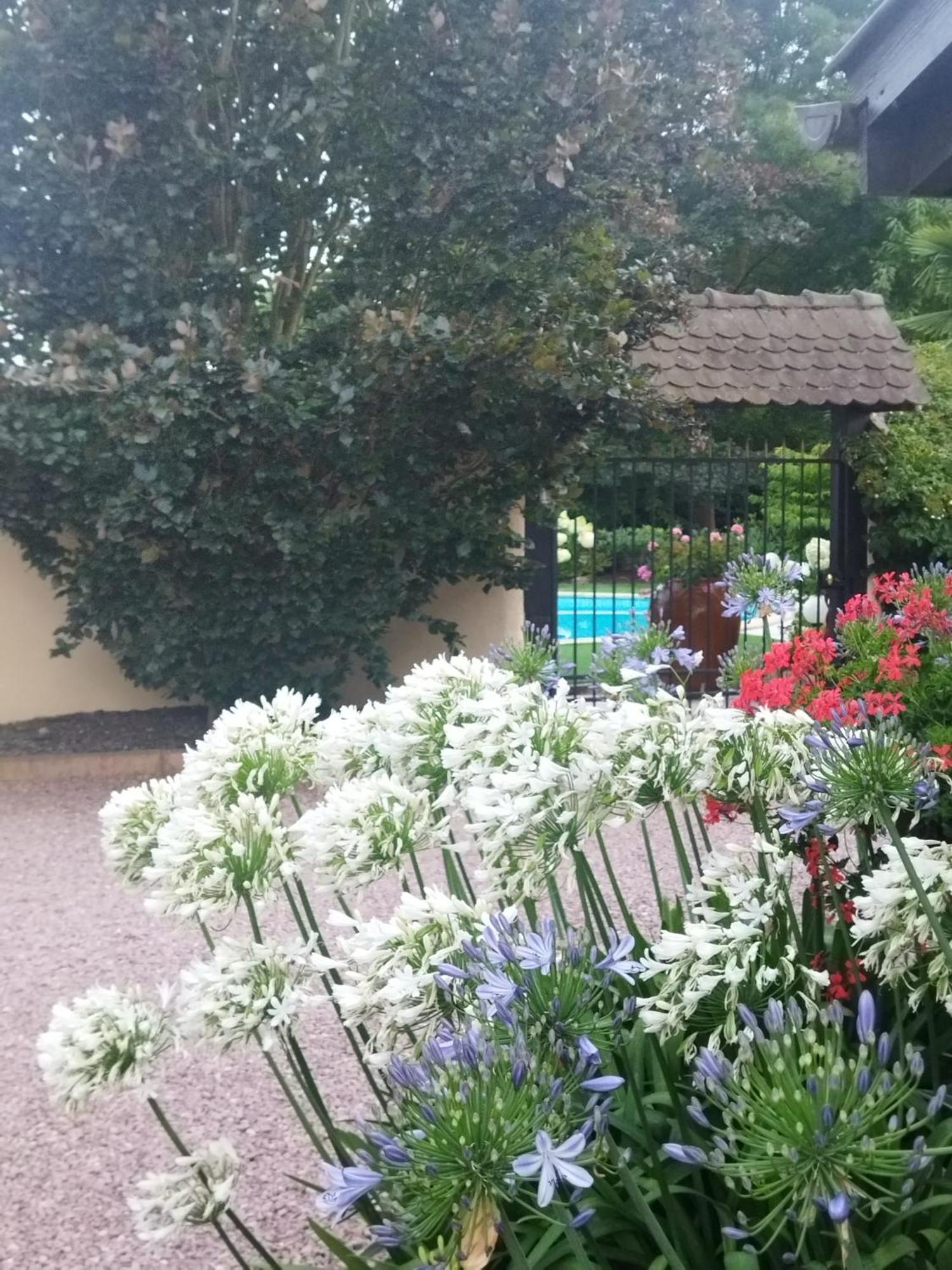 Les Hortensias Fortschwihr Dış mekan fotoğraf