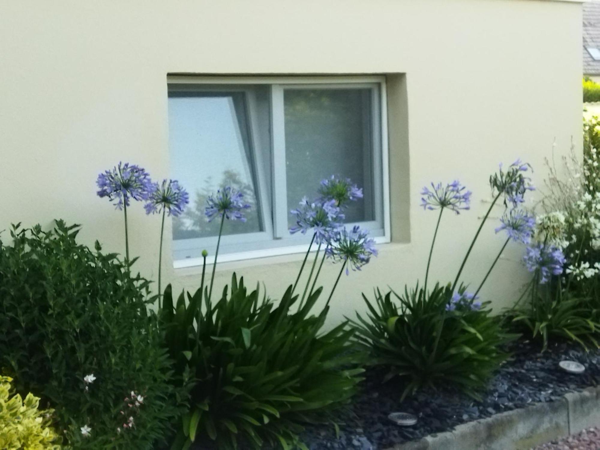 Les Hortensias Fortschwihr Dış mekan fotoğraf